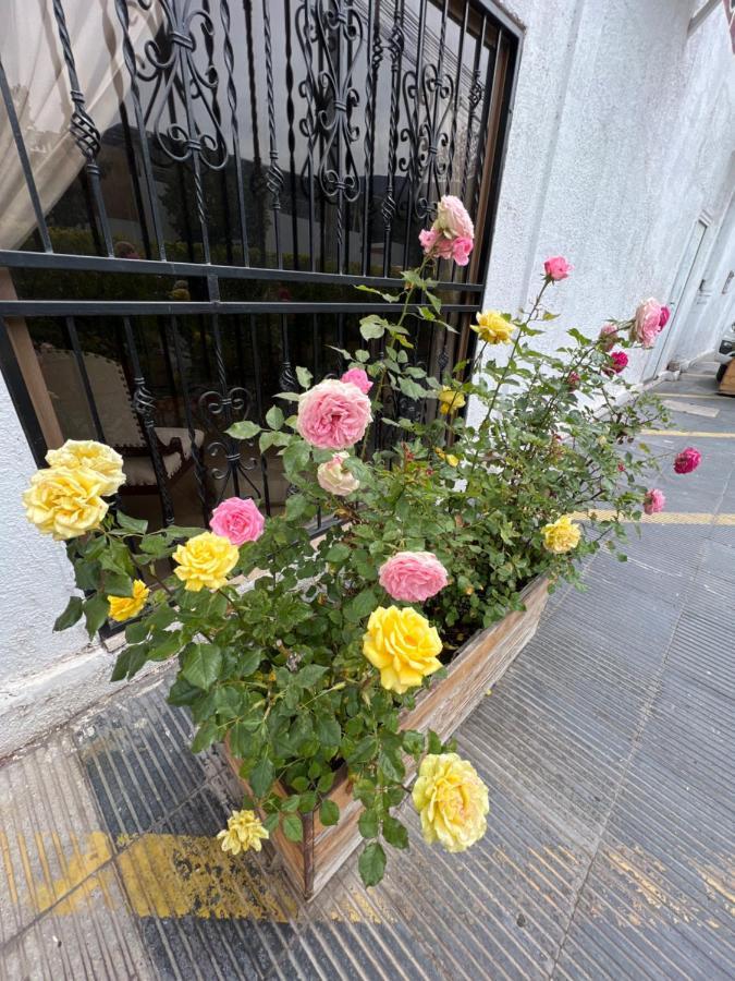 Hotel San Enrique Salamanca المظهر الخارجي الصورة